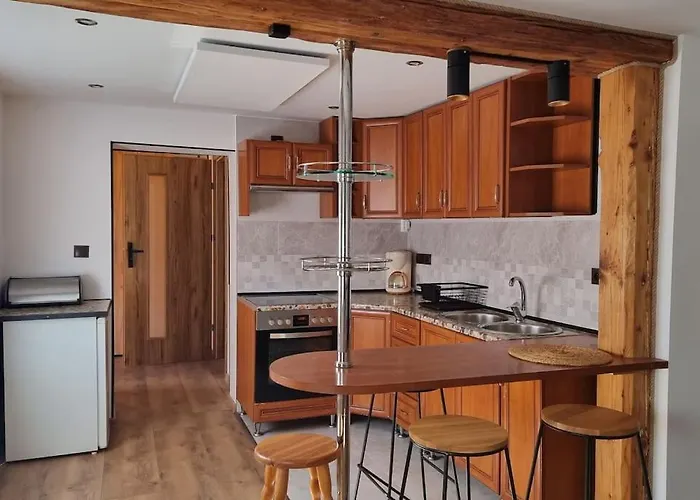 Apartment Fantastica Myslakowice